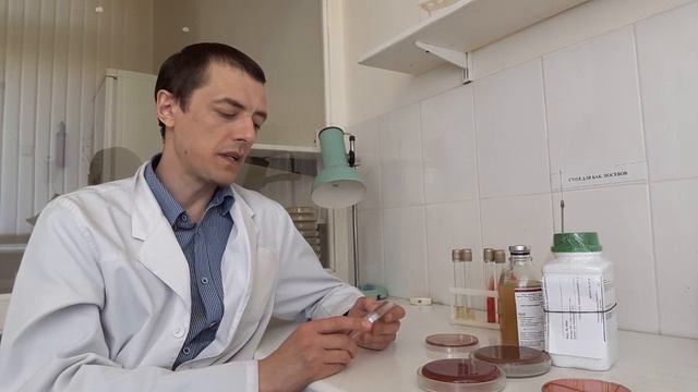 Питательные среды для медицинской микробиологии. Часть 2. Виды и назначение