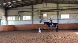 КАК НАУЧИТЬ ЛОШАДЬ НЕ БОЯТЬСЯ?