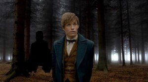 Фантастические твари и где они обитают 5