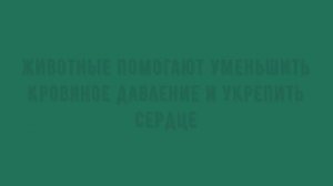 7 ФАКТОВ О ПОЛЬЗЕ ДОМАШНИХ ЖИВОТНЫХ ДЛЯ ЗДОРОВЬЯ ЧЕЛОВЕКА.../интересные факты о животных...