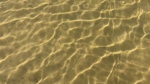 Медитация от лени …