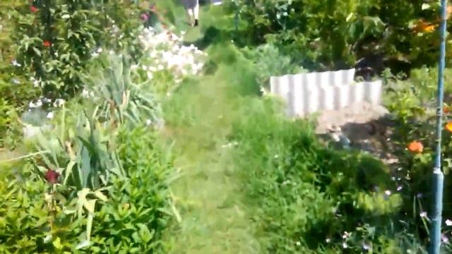 байдарки там,де ти живеш... смотреть онлайн