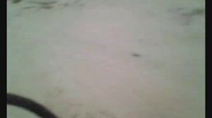 Камчатка Рудник Агинский.wmv