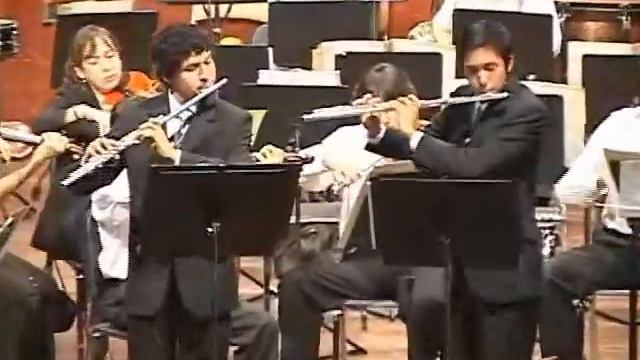 Cimarosa Concerto for Two Flutes and Orchestra in G Major - 2. Largo 3. Rondo: Allegro ma non tanto смотреть онлайн