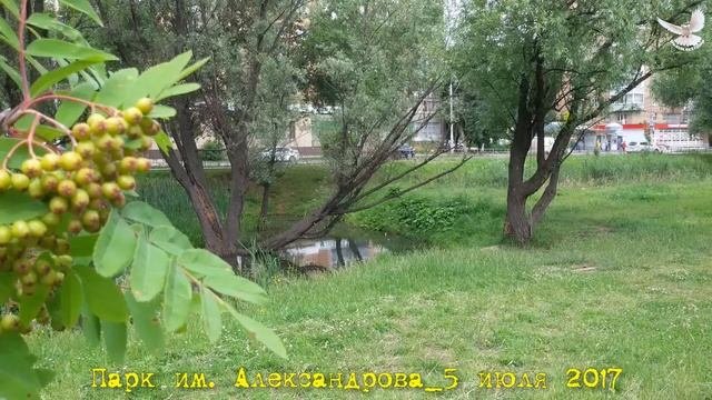 ТИПИЧНАЯ РЯЗАНЬ глазами рязанского обывателя