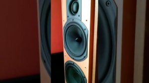 Wharfedale Diamond 9.6 Work