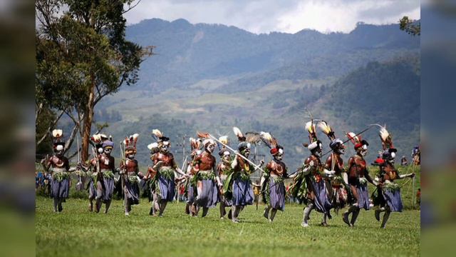 MIOK BLO MT HAGEN (2020) - McDonald Taylor