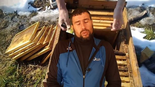 Семьи пчел будут развиваться весной. Нужно менять технологию зимовки на меде с П смотреть онлайн