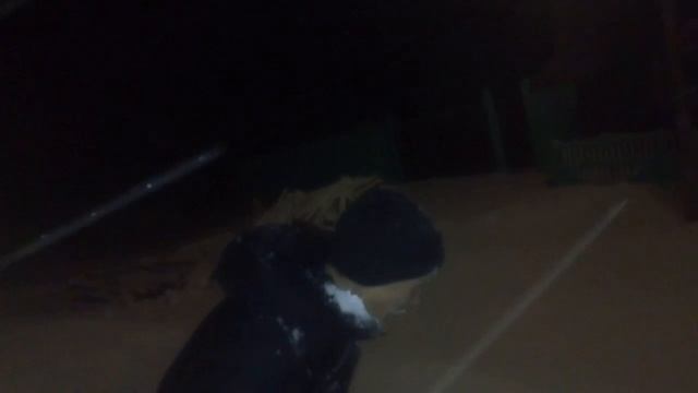 Буба словил снежинку смотреть онлайн