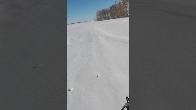 Мотобуксировщик Forza 17 лошадей, мотобуксировщик лыжным модулем смотреть онлайн