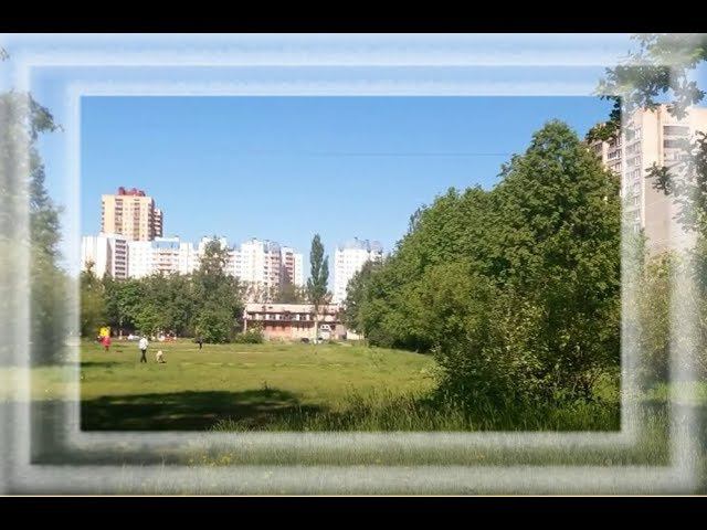Наш прекрасный зеленый двор (Санкт-Петербург, Калининский район) смотреть онлайн