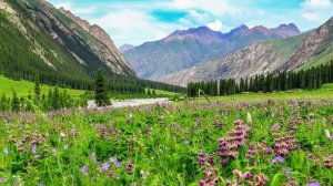 Нежная лечебная музыка здоровья и для успокоения нервной системы, глубокого релакса ! Скажи Жизни Д