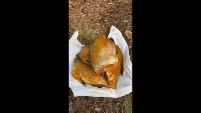 Коптим рыбу. Коптильня горячего копчения видео. Правильно коптим рыбу. Коптильня с гидрозатвором
