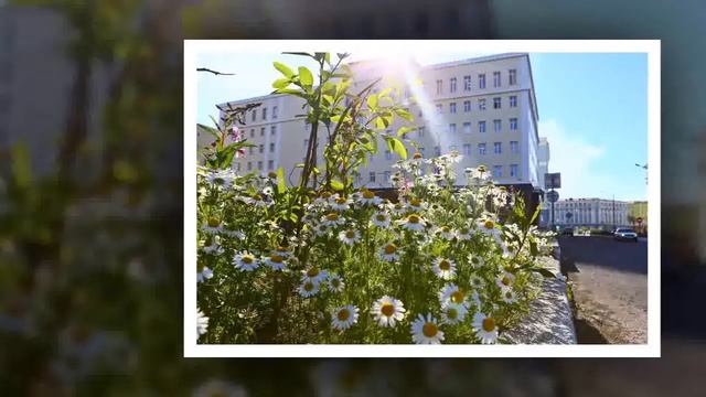 Норильск мой смотреть онлайн