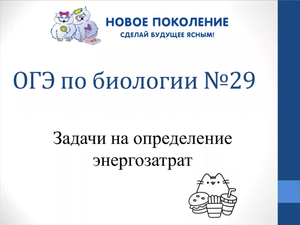 Биология. Разбор ОГЭ по биологии Задание №29