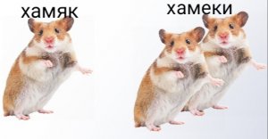 Мемы с хомяками 2