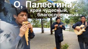 О, Палестина, край чудесный, благословенный.  Трио “Grupo Encuentros”, 2016