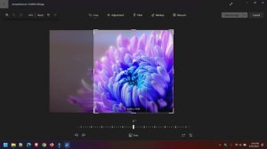 How to crop an image in Windows 11 (easy way)