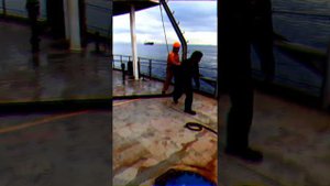 Бункеровка (заправка)судна тип Балкер