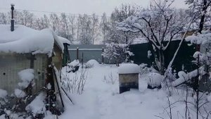 Продажа участка в Люберцах СНТ Ручеек