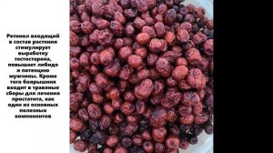 Боярышник. В чем польза?