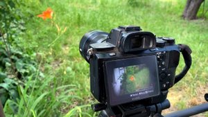 Как снимать видео 4k на Sony a7sII и SIRUI 50/1.8 Anamorphic, монтировать и сохранять в FCPX.