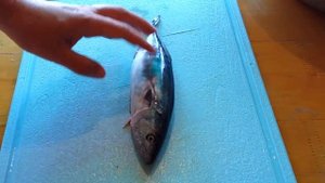 Маринованная рыба (селедка или скумбрия) - вкусный, простой и базовый рецепт!