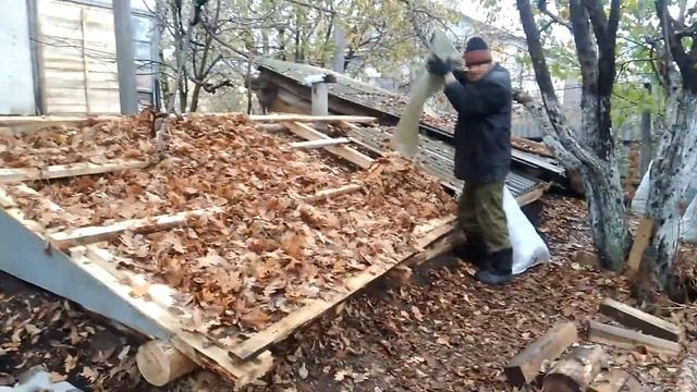 Засыпка подвала дубовым листом! смотреть онлайн