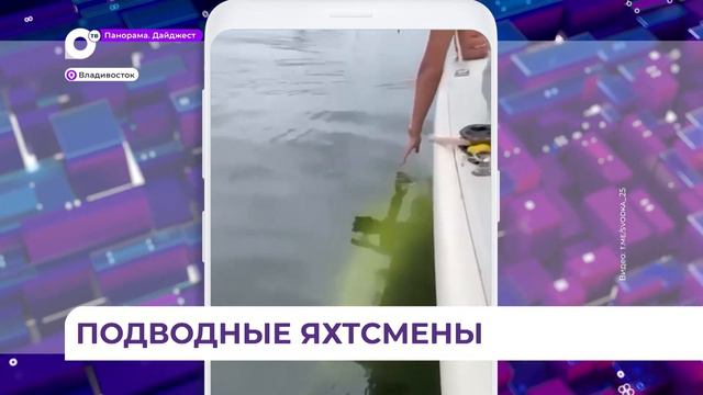 «Носом сжали и тянут»: помощь откуда не ждали пришла яхтсменам на регате во Владивостоке смотреть онлайн