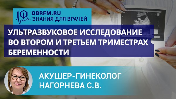 Акушер-гинеколог Нагорнева С.В.: Ультразвуковое исследование во 2 и 3 триместрах беременности