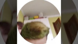 тг Аркаб Игорь и Гордей