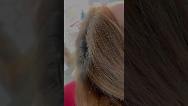 Как отрастить длинные и густые волосы? ЛЕГКО! смотреть онлайн