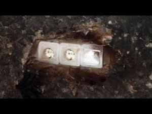 Пещерные города, раскопано лишь 150 пещер из предполагаемых 700