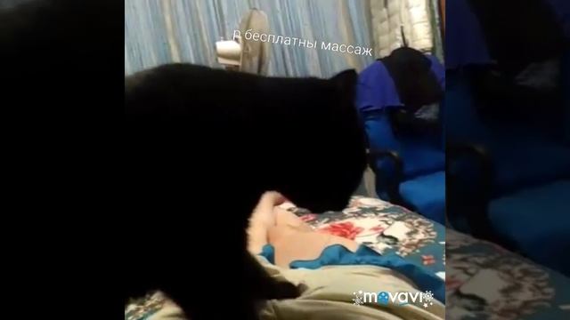 мои будни и бесплатный массаж