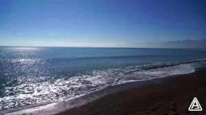 Anas otman Sweet Accordion ( New summer Song )