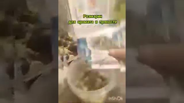 Малосольные зеленые помидорки