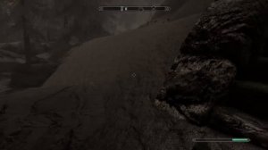 How to get the best follower in Skyrim