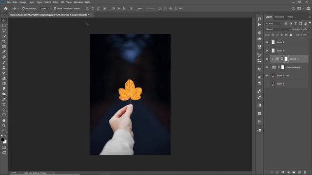Photoshop Tutorial- Glowing Leaf  | Glowing Effect