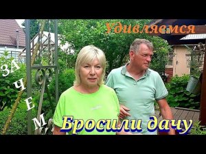 ДАЧА.Давно не были,а тутСами в шоке.Как мы могли УЕХАТЬ в  заморозки.Что выросло в теплице и саду.