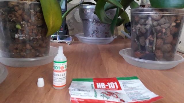 Повысить иммунитет орхидеи и стимулировать рост поможет препарат смотреть онлайн