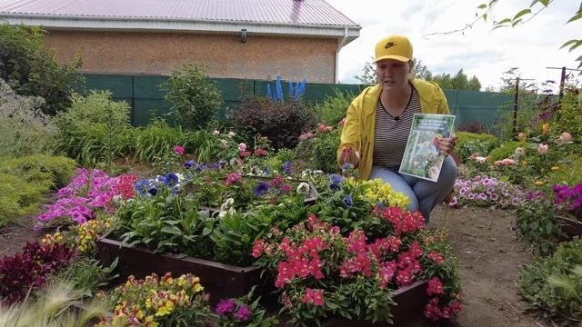 КЛУМБА ПЛОХО ЦВЕТЕТ?  Какие ошибки вы допустили и что еще можно сделать?