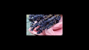 Как избавиться от моли в крупе