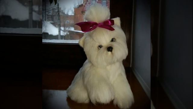 344568977 107535562 718826445518322 8695253121584258152 n смотреть онлайн