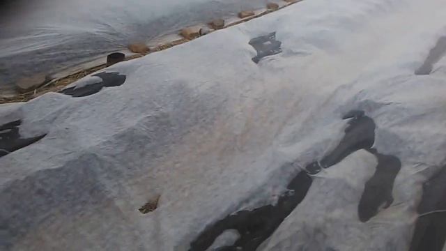 Насос для капельного полива!!! смотреть онлайн