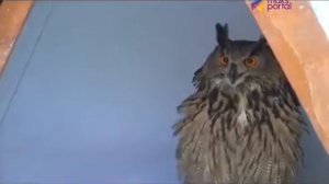 В Сочи появился совариум