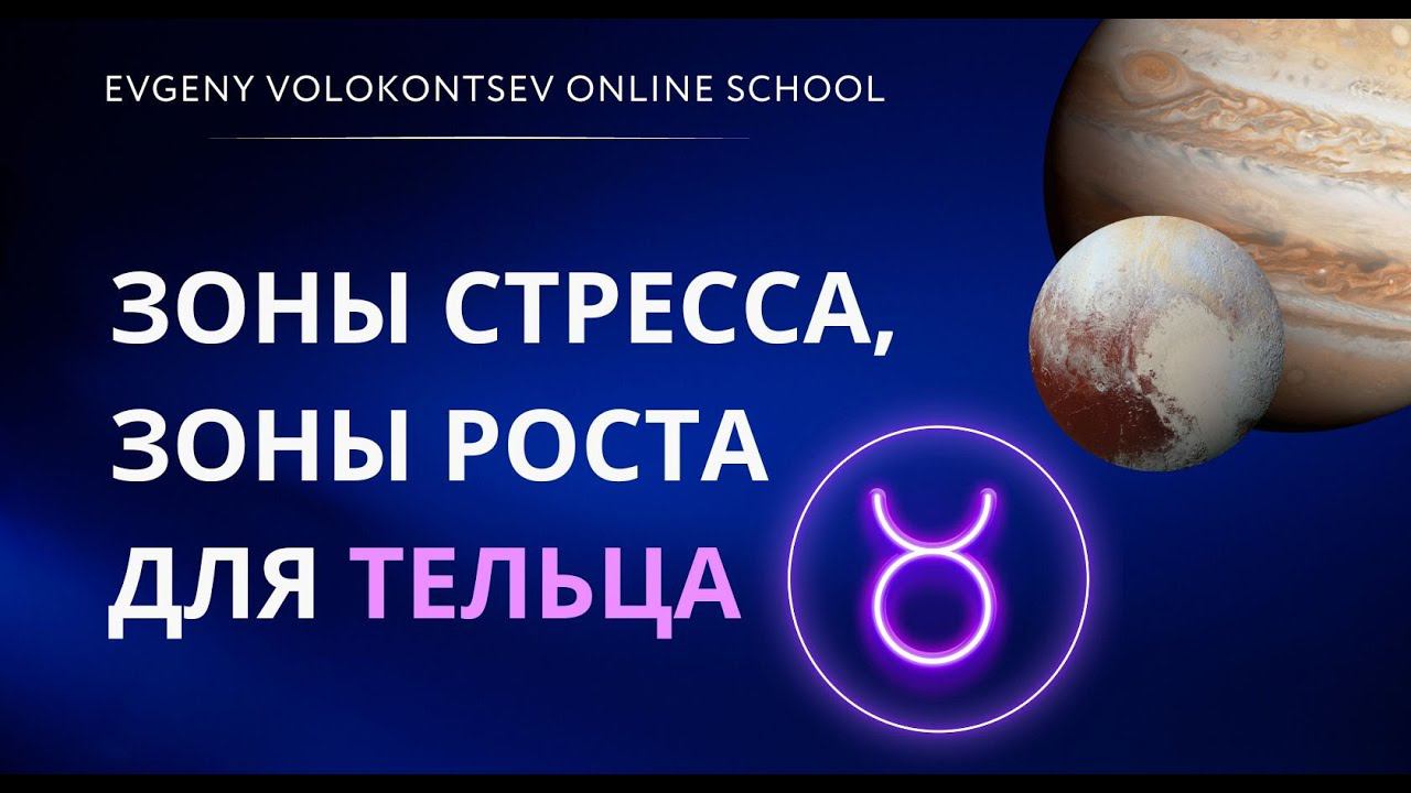 ЗОНЫ СТРЕССА, ЗОНЫ РОСТА ДЛЯ ТЕЛЬЦА