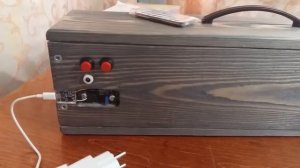 Собрал блютуз бумбокс колонку своими руками, с FM радио на усилителе PAM8610.