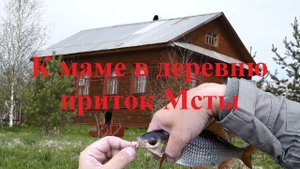 С мамой в деревню. Приток Мсты.