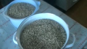 Приготовление тёмных сортов солода в домашних условиях