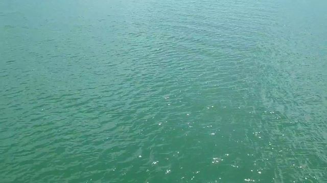 Рыбалка на Каспии. Ловля кутума в апреле #рыбалка #каспий #sea смотреть онлайн